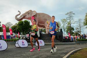 BIB: 
                            <button type="button" onclick="openModal(26529115)" class="btn btn-primary btn-sm float-right btn-popup" data-toggle="modal" data-target=".modal-high-quality">
                        <i class="fas fa-shopping-cart"></i> Add to Cart
                    </button>
                                            <button type="button" onclick="isThisMe(26529115, true)" class="btn btn-success btn-sm float-right btn-popup btn-isme hidden" data-toggle="tooltip" data-placement="bottom" title="นี่คือรูปของคุณใช่ไหม คลิกที่นี่เพื่อเอาเข้าอัลบั้ม">
                        <i class="fas fa-plus"></i> Add to album
                    </button>
                    <button type="button" onclick="isThisMe(26529115, false)" class="btn btn-warning btn-sm float-right btn-popup btn-isnotme hidden">
                        <i class="fas fa-ban"></i> Remove from album
                    </button>